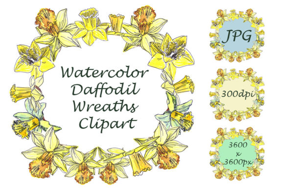 Download Watercolor Daffodil Wreaths Clipart - Art Collection